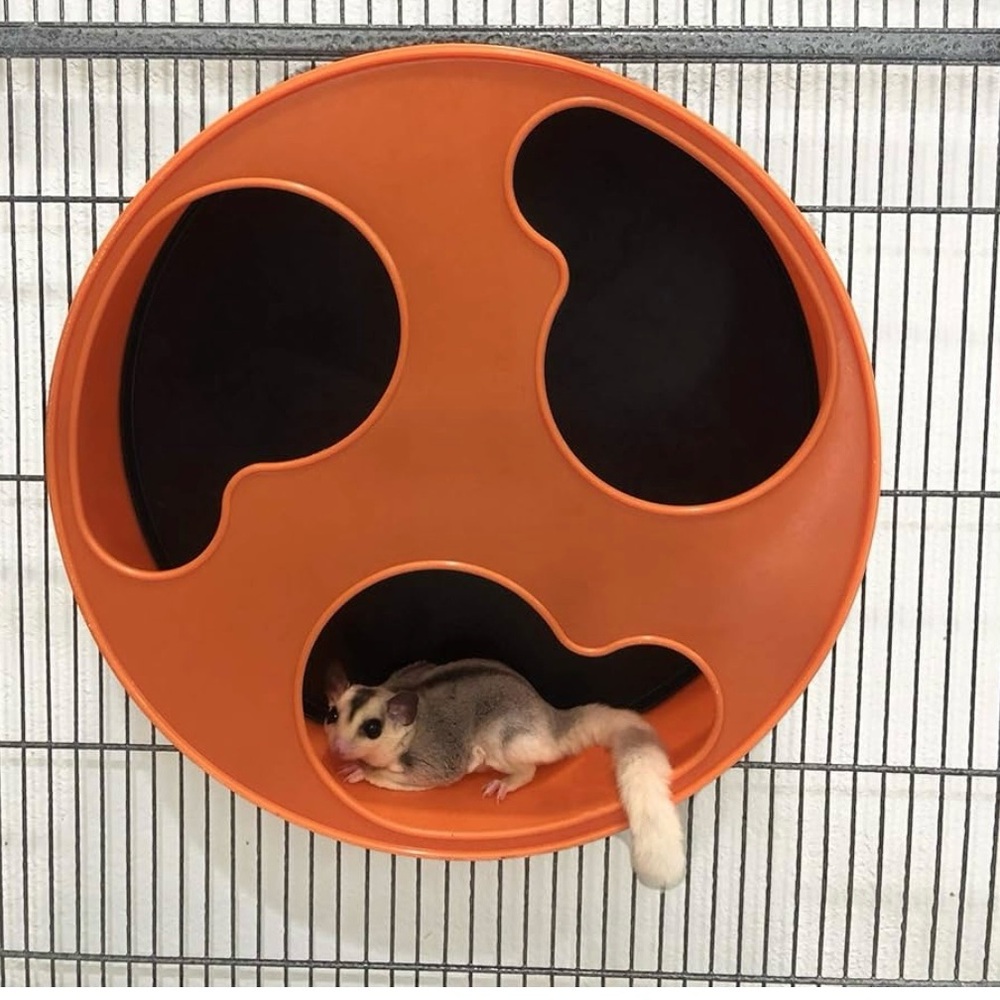 Small Animal / Exotic Pet Silent Exercise Wheel